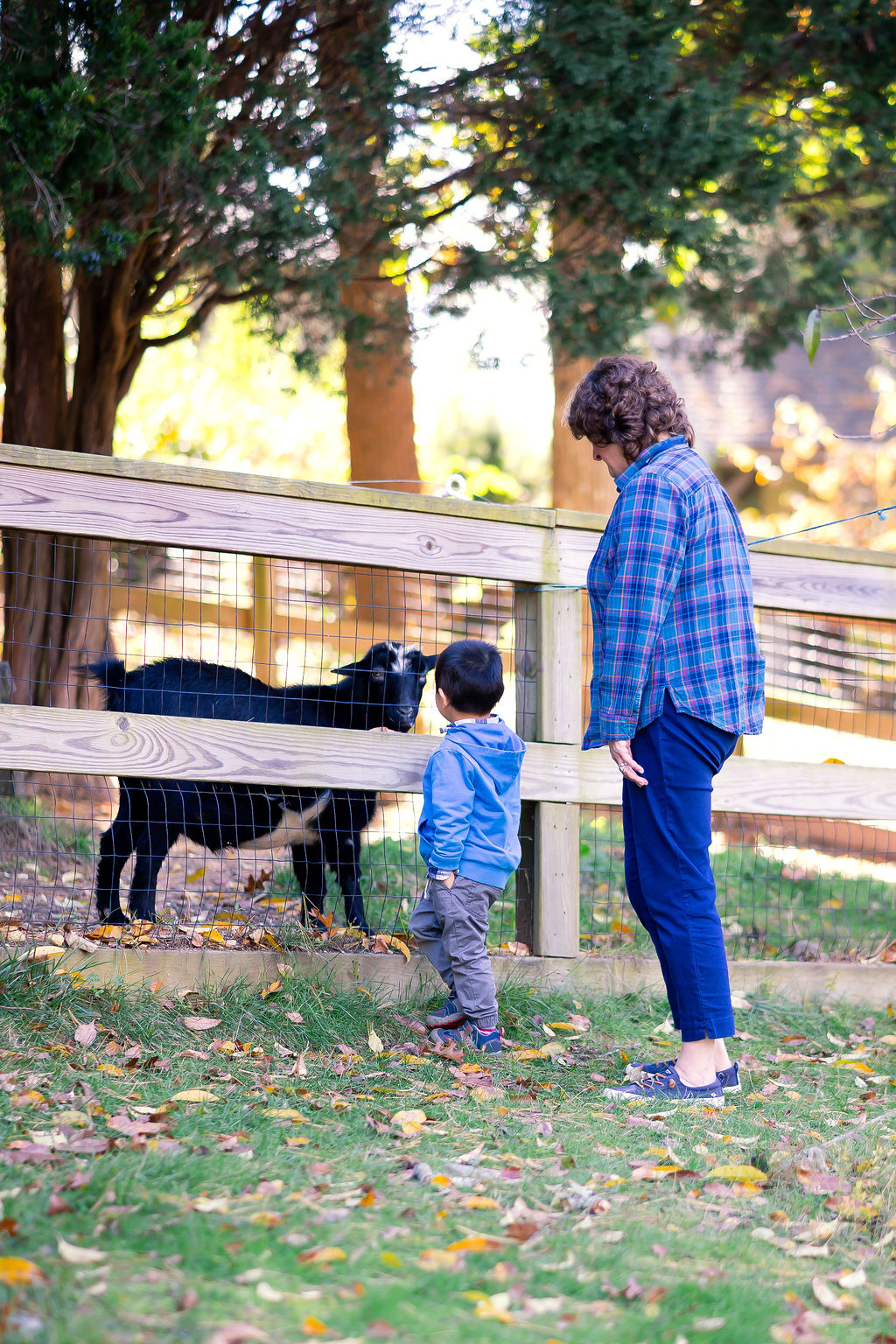 Bay Farm agriculture program