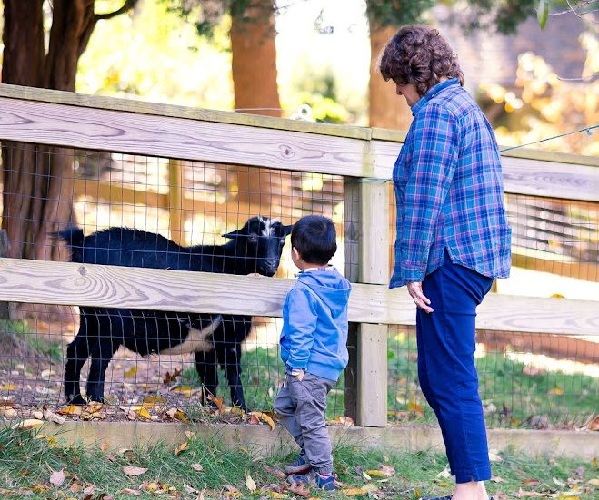 A student visiting the goats at Bay Farm