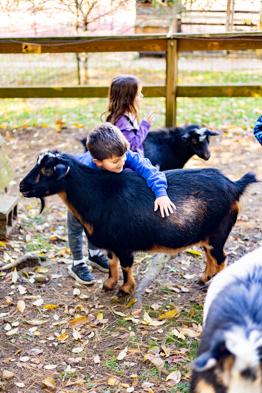 Students in the Bay Farm agriculture program