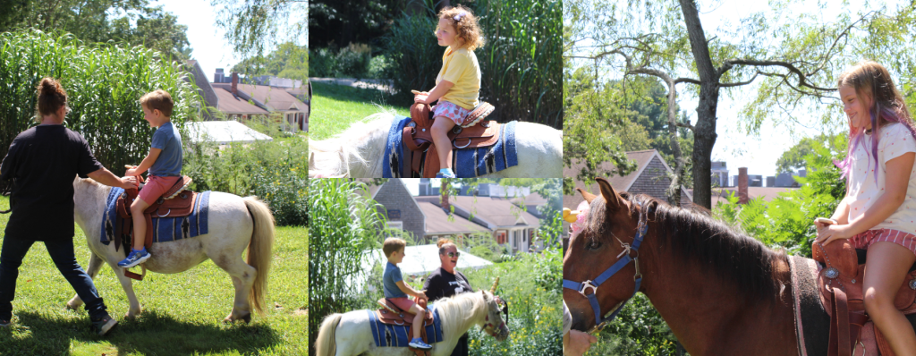 Festival on the Farm at Bay Farm Montessori Academy
