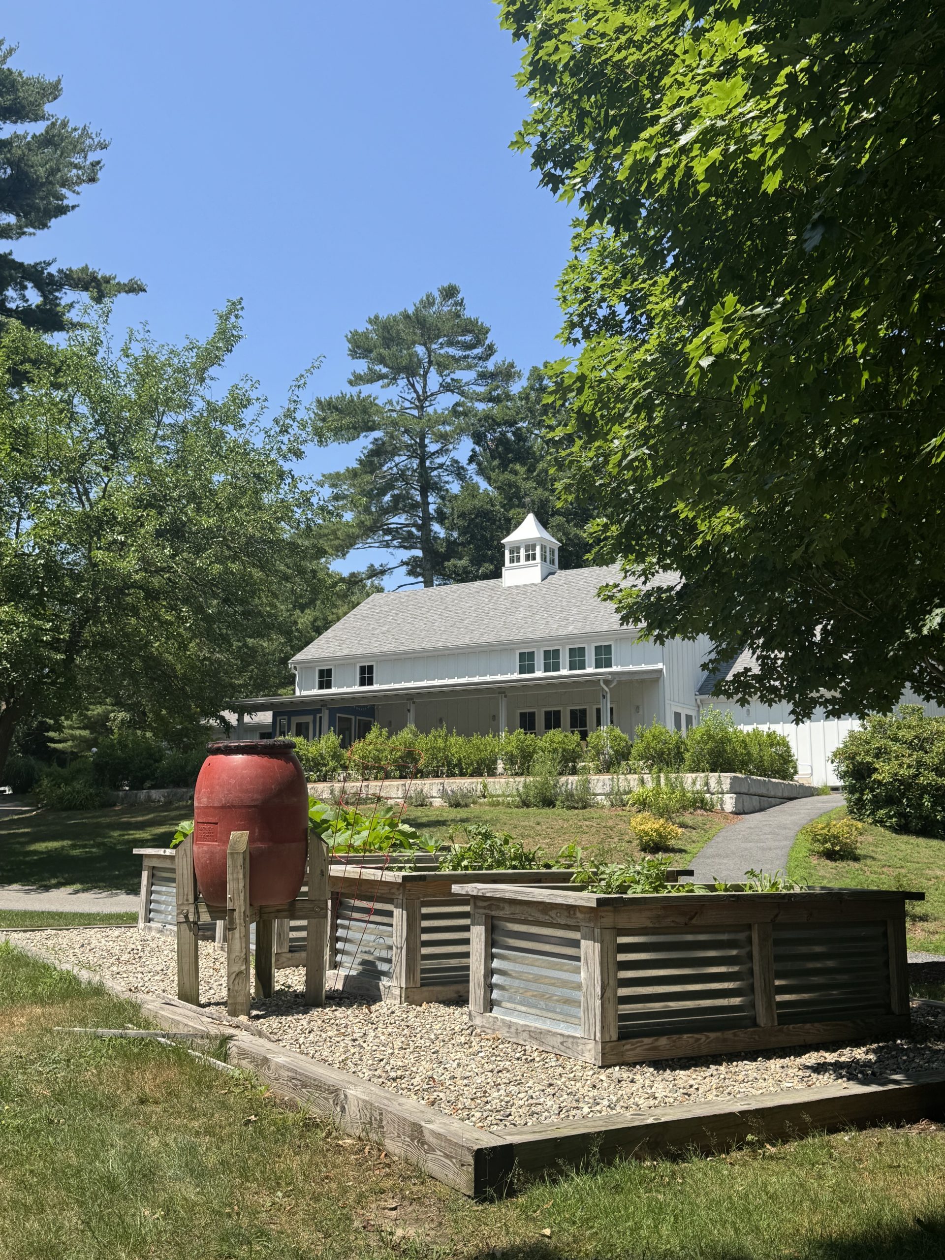 Bay Farm gardens and orchard